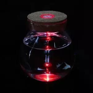 마리모 키우기 LED 유리병 꾸미기 코르크병 마리모키우기 마리모병 마리모어항