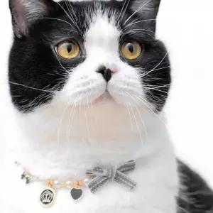 고양이 리본 진주 목걸이 반려동물 강아지 패션 악세사리