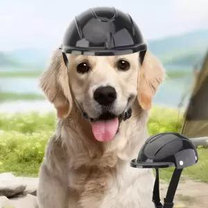 강아지 모자 헬멧 반려동물 머리보호 드라이브 외출 안전모