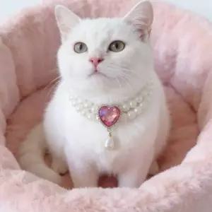 강아지 고양이 진주 목걸이 반려동물 펜던트 패션 악세사리