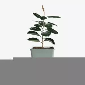 중형화분 봄 분갈이 가벼운 클래스화분 인테리어 세트 화분 분갈이