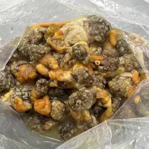 [장보리]남해안 횟감 손질 미더덕 200g