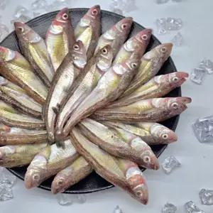 [유일] 도루묵 관우농가 동해안