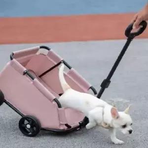 편안한나들이 폴딩 유모차 이동가방