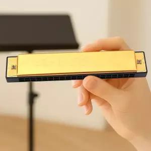 포린 20홀 하모니카 음악 악기 준비물 금색 현악기 소품