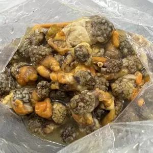 남해안 횟감 손질 미더덕 200g