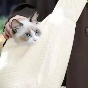 만두백 패션 산책 가방 반려 크로스백 동물 외출용