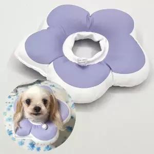 꽃피는 강아지 고양이 쿠션 넥카라 퍼플 M