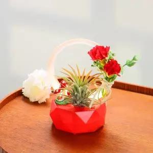 [키득키득]카네이션 이오난사 엔젤 무드등 만들기 패키지