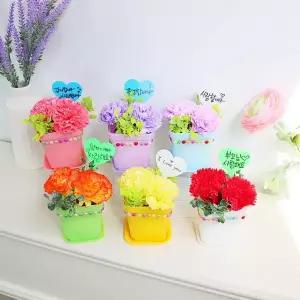 [키득키득]카네이션 사랑의칼라화분 만들기 패키지