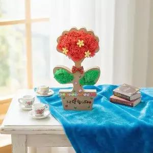 [키득키득]사랑을전해요 카네이션 모스 화분 만들기 패키지