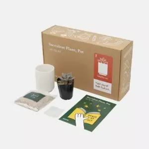 다육이키우기 세트 식물기르기 체험 구성