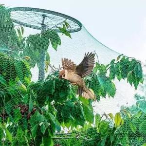 농작물보호망 과수원 방조망 2x10m 그물망