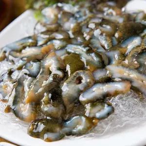 국내산 통영 활 해삼 500g