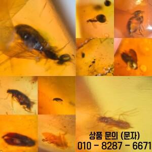 10개의 진품 미얀마 곤충 앰버 한 세트 화석 표본 공룡 시대 부르마이트 광물 10.7 11