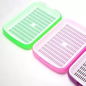 [알티피아]TBZ 다용도 간편 새싹 재배기 1개(랜덤)