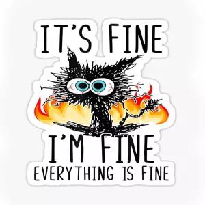 블랑카스 3 괜찮아요 모든 것이 미세한 스티커 비닐 노트북 데칼 물병 자동차 스케이트보드 재미있는 작은