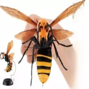 말벌모형 곤충(1) 장수말벌 스탠드 수집용 피규어