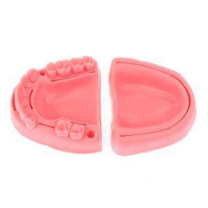 의대생 고품질 2피스 피부 봉합 수술 훈련 키트 패드 치과 구강/잇몸 모듈 실리콘 치주염 모델