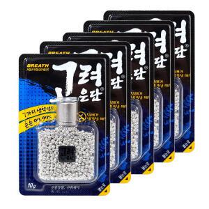 고려은단 12g x 5개 은단 구취제거