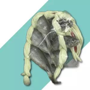 국내산 참조기 굴비 20미 조기 굴비 생선 반건조 참조기