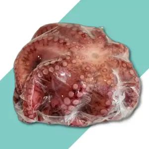 자숙 문어 1미 문어 삶은문어 자숙문어 문어숙회 냉동