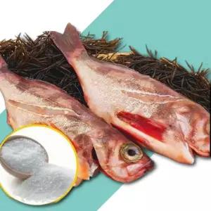 가거도 불볼락 특대 2마리 대2마리 택 1 가거도 참조기 설날선물 명절선물