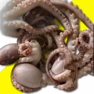 초대왕 냉동 낙지 6미 연포탕 낙지볶음 특사이즈냉동낙지 큰냉동낙지