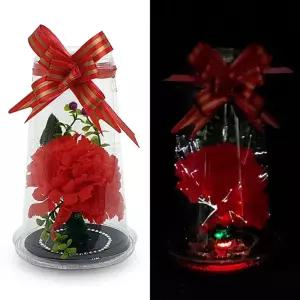 LED 조명등 만들기 카네이션 광섬유LED 컵 어버이날 스승의날 감사 선물