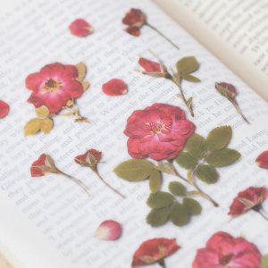 감성 인쇄 압화 스티커 미니장미 7P 다꾸 폰꾸 꾸미기