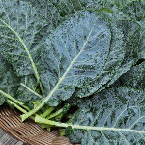 국내산 케일 2kg