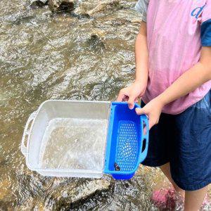 대 채집통 다슬기