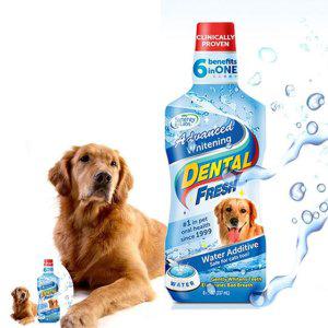 애견치약 구강관리 치아관리 구강청결 Dog 덴탈후레쉬 화이트닝 503ml 물에 섞는 치약