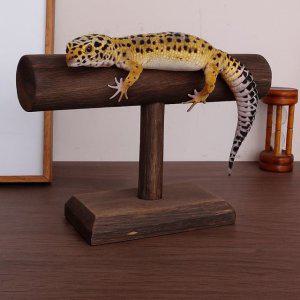 BenF Home 피딩대 1단 다크브라운 파충류 스탠드 도마뱀 크레스티드 게코 크레 레오파드 휴식대 받침대