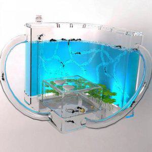 관찰 키우기 생태 led 개미집 곤충 학습