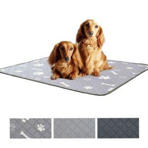 강아지 패드 배변 고흡수성 흡수력 애견 세탁 재활용