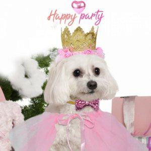 망사 튜튜 드레스 고양이 반려동물 강아지