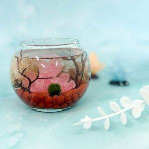 식물 만들기 마리모 어항 키트 수생 반려 키우기 꾸미기