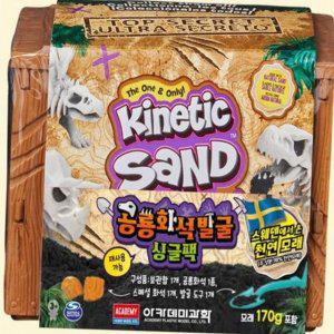 키트 장난감 발굴 조립 공룡 특별 어린이 뼈대 화석