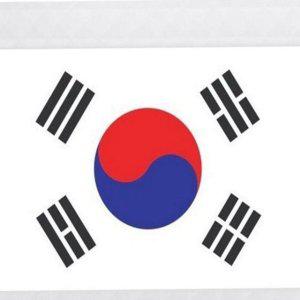 광복절 가정용 국기 현충일 태극기 용태 게양용 행사용