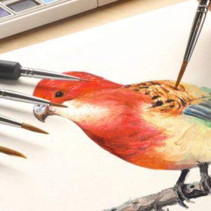 서예 세필붓 한글 캘리 붓펜 브러쉬 브러시 11종 세트