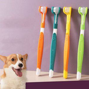 양치 3면 반려동물 강아지 칫솔 용품 고양이