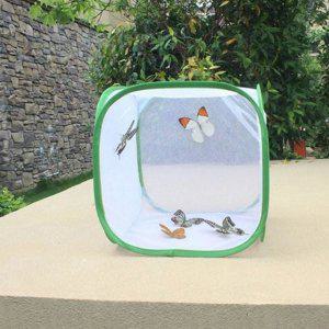 접이식 곤충 어린이 케이지 사육 나비 채집통 망사 벌레