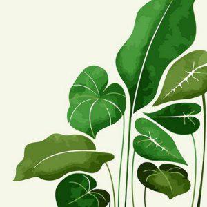 태교 그리기 diy 유화 명화 인테리어 그림 집들이선물