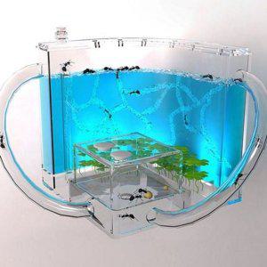 활동 led 만들기 키우기 어린이 개미집 교육용