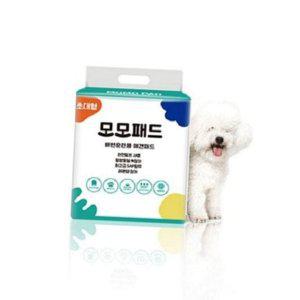 고흡수 패드 논슬립 배변 초대형 애견 훈련 강아지