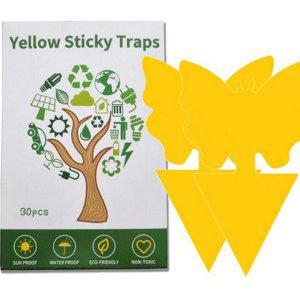 날파리 끈끈이 화분용 초파리 30개입 파리 트랩 뿌리 양면 재사용