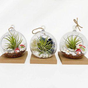 미니어처 만들기 이오난사 반려 식물 꾸미기 테라리움 키트