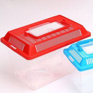 채집통 관찰통 투명 뚜껑형 플라스틱 야외 사슴벌레 장수풍뎅이 휴대용