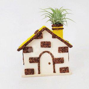 집 키트 재료 만들기 용품 세트 식물 이오난사